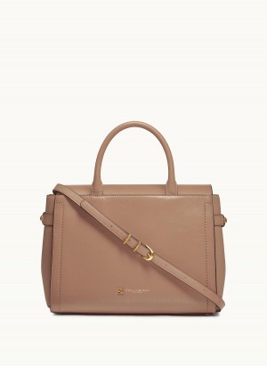 Brown Donna Karan Roslyn Satchel | SG_DK72521